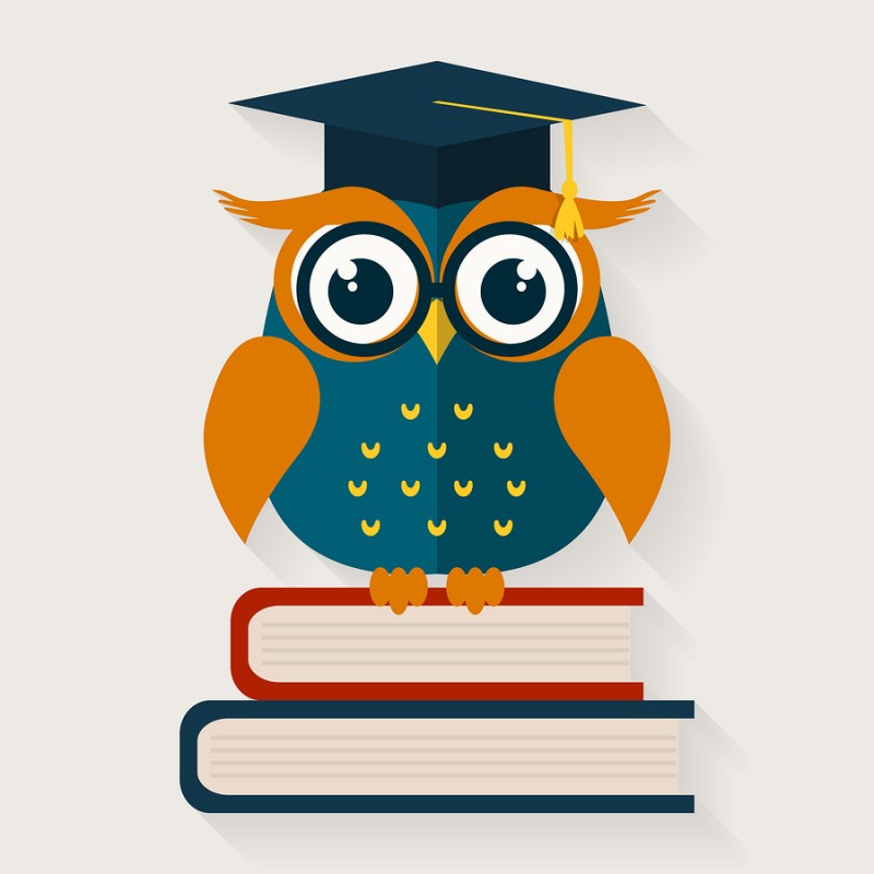bigstock-wise-owl-sitting-on-the-books-68231416-800x800